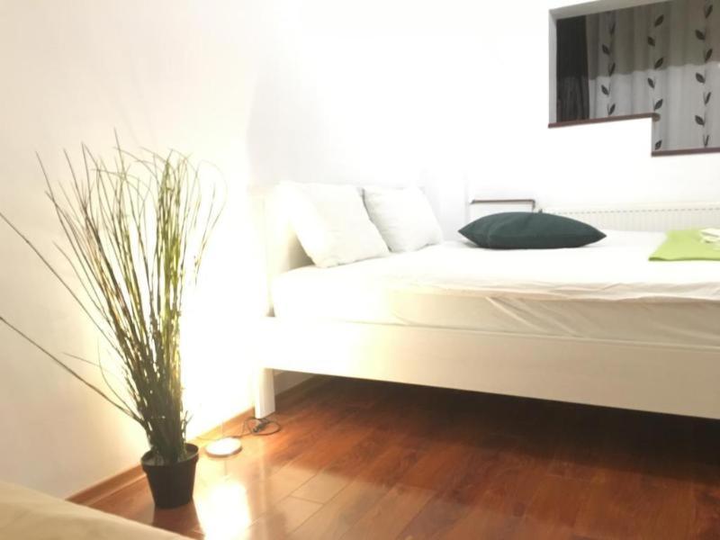New Green Apartment Studio 1 Бухарест Номер фото